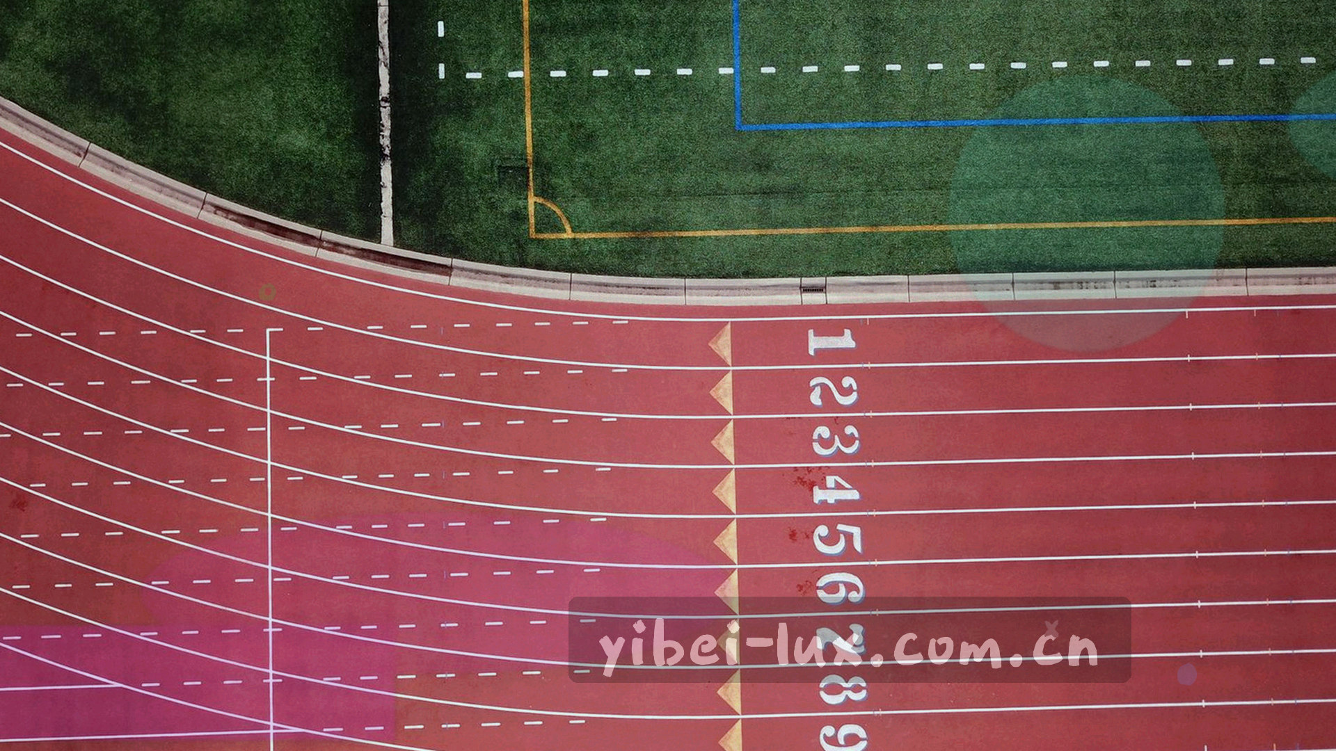 一群球迷在体育场内欢呼，背景是球场灯光和动态模糊效果